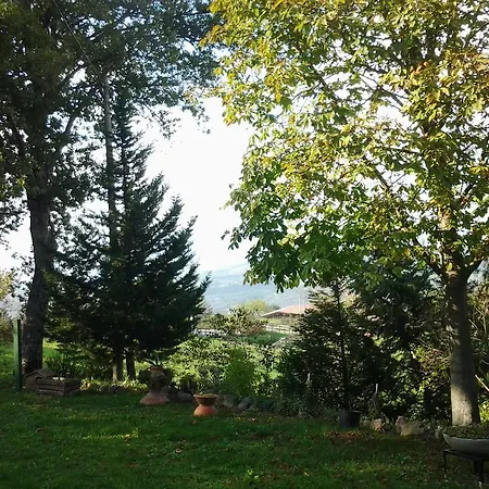 La Casa Di Cesarina