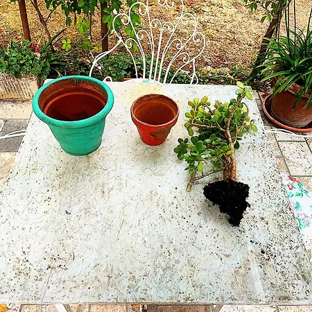 La Casa Di Cesarina Casa di campagna