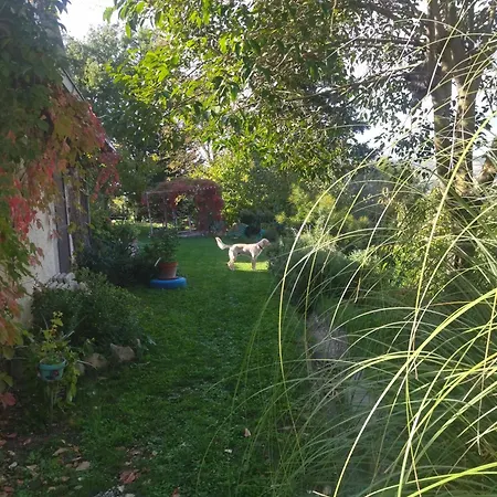 La Casa Di Cesarina Casa di campagna