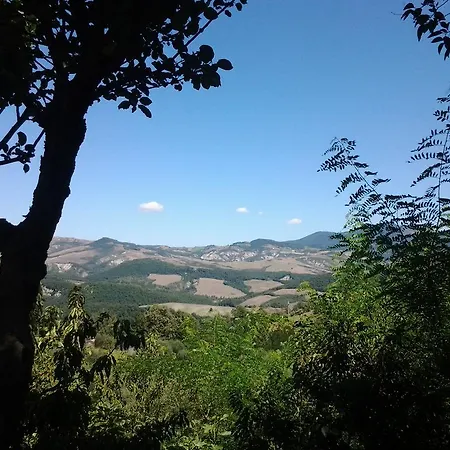 La Casa Di Cesarina *