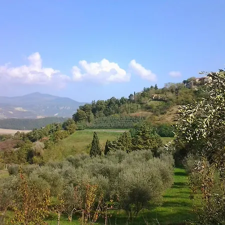 La Casa Di Cesarina *
