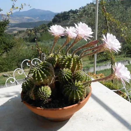 La Casa Di Cesarina