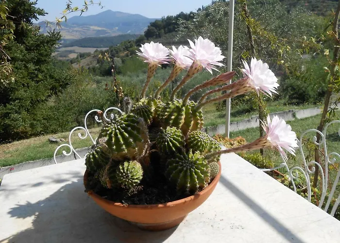 La Casa Di Cesarina